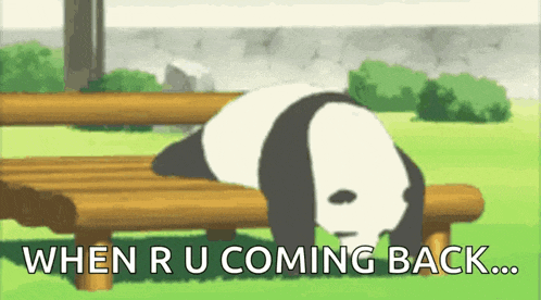 a panda bear is laying on a wooden bench with the words `` when u coming back '' written on the bottom .