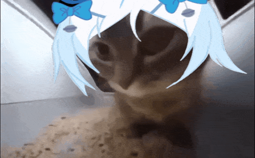 a cat with a drawing of a girl with blue hair