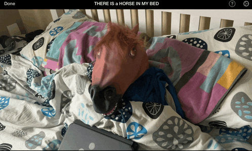 a horse mask is laying on a bed with the words " there is a horse in my bed " below it