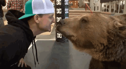 a man in a green hat kisses a bear in front of a stack of dc bags