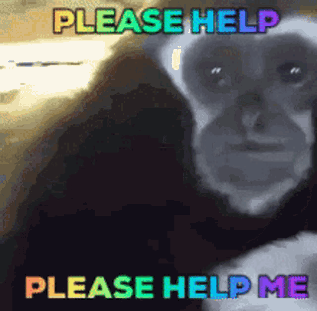 Help Me Please Help GIF - Help Me Please Help Sad GIFs