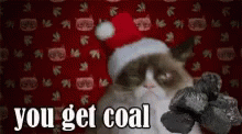 You Get Coal Grumpy Cat GIF - You Get Coal Grumpy Cat Coal GIFs