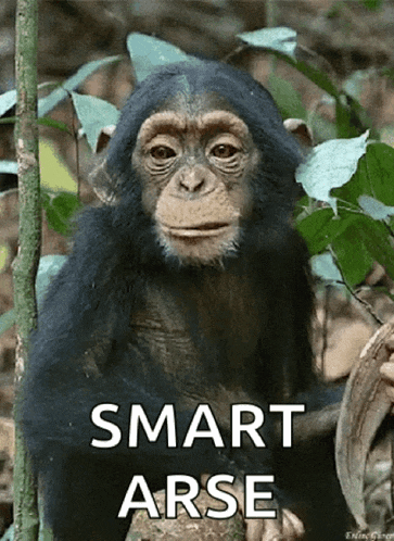 a picture of a chimpanzee with the words smart arse written below it