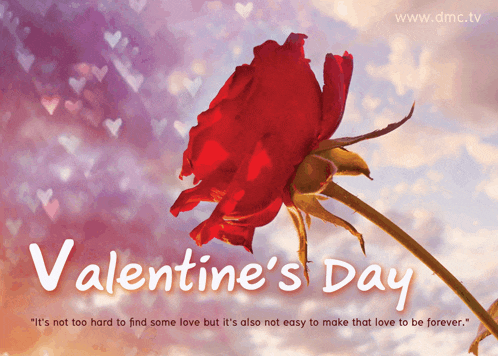 a valentine 's day poster with a red rose and a quote