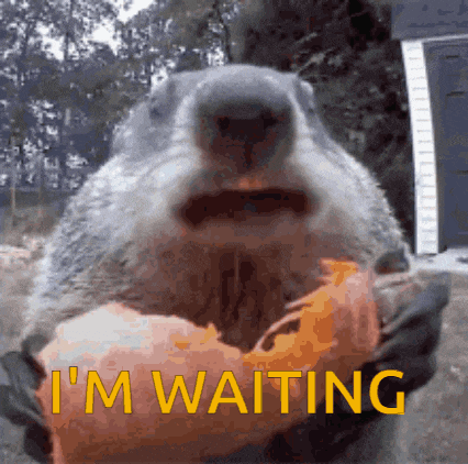 a groundhog is holding a donut in its mouth and says i 'm waiting in yellow letters