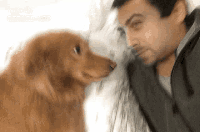 a man and a dog are looking at each other and the dog is looking at the man 's face .