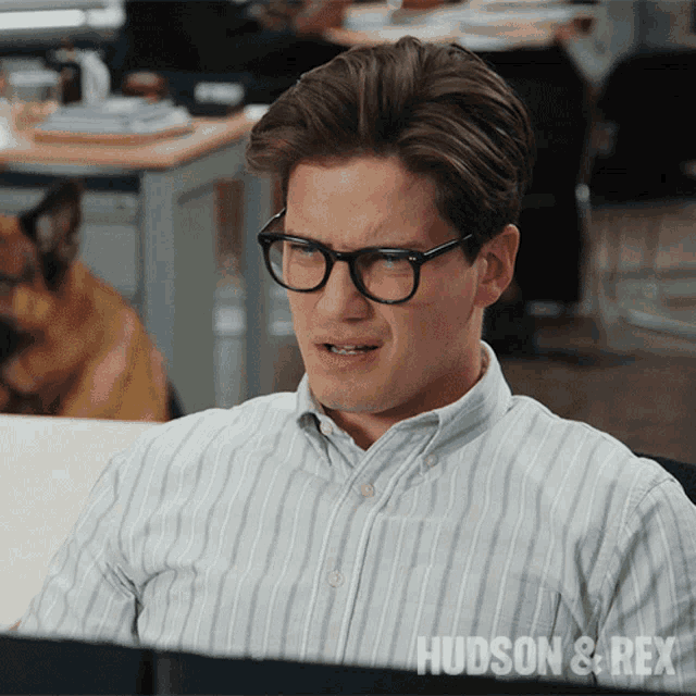 Confused Jesse Mills GIF - Confused Jesse Mills Hudson And Rex GIFs