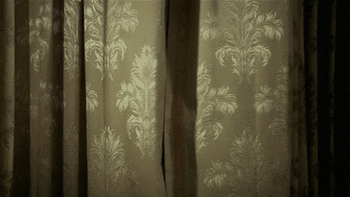 a close up of a curtain with a floral pattern on it