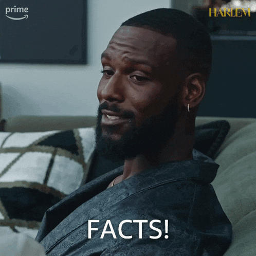 a man with a beard is sitting on a couch with the word facts on his face
