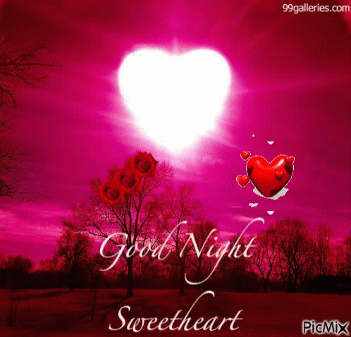 Good Night Sweet Dreams GIF - Good Night Sweet Dreams Sweet Heart GIFs