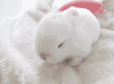 a white rabbit is laying on a white blanket next to a pink toy .
