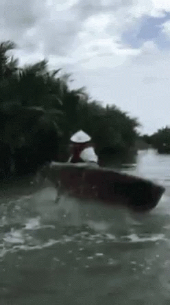Rodeo Boat GIF - Rodeo Boat Sea GIFs
