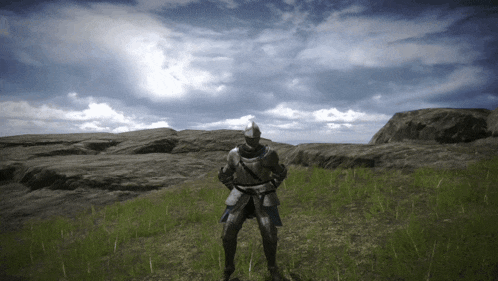 a knight in armor stands in a field of grass