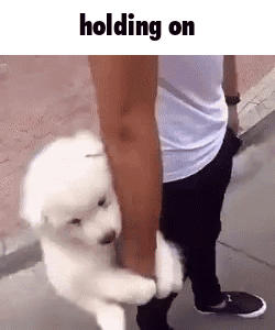 Holding On Hold On GIF