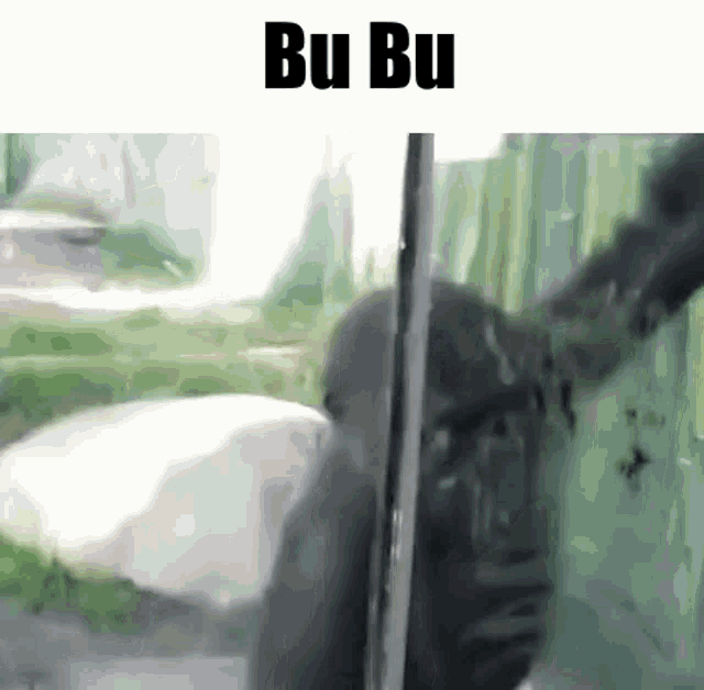 a gorilla is standing in front of a window with the words bu bu written above it .