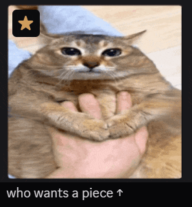 a picture of a cat with the words who wants a piece written above it