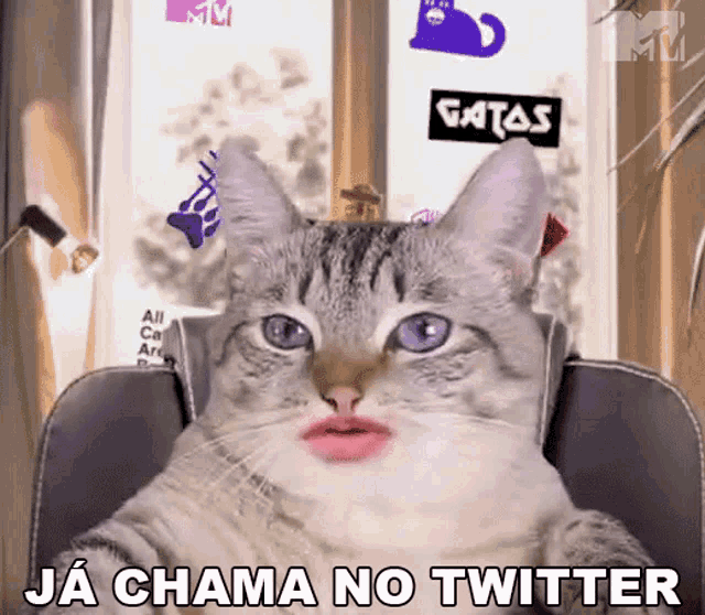 Ja Chama No Twitter Mtv Brasil GIF