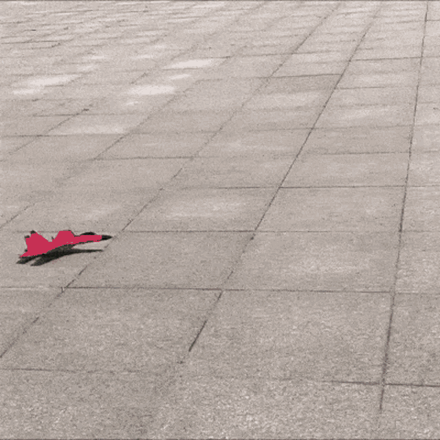 a red bird is sitting on a skateboard on the ground