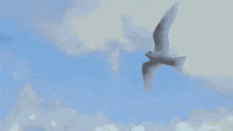 a blue sky with white clouds and a few birds