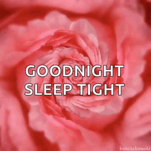 Goodnight Sleep Tight GIF - Goodnight Sleep Tight Flower GIFs