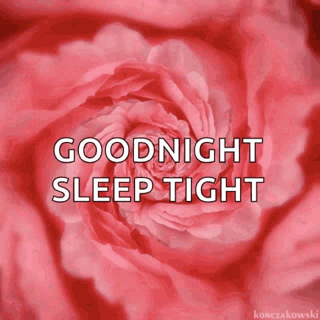 a pink rose with the words goodnight sleep tight