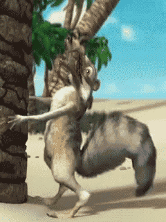 a couple of squirrels are standing next to each other on the beach .