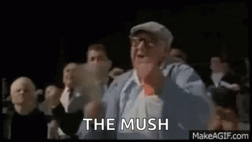 Mush Mushy GIF - Mush Mushy GIFs