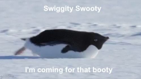 Booty Coming GIF - Booty Coming Penguin GIFs