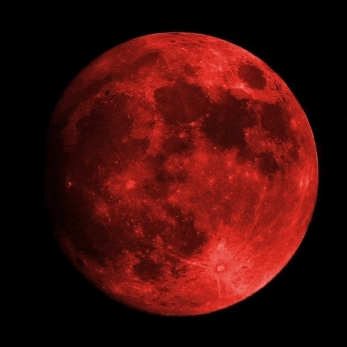 a full red moon is visible in the night sky