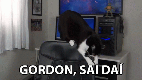 Gordon Sai Dai Gato GIF - Gordon Sai Dai Gato Naughty Cat GIFs