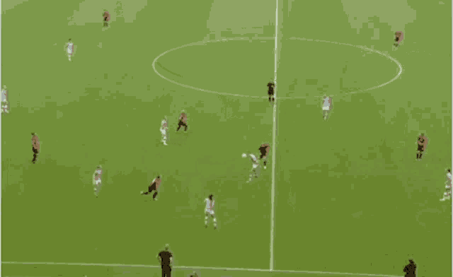 a group of soccer players are playing on a soccer field .