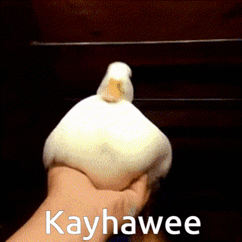 a person is holding a duck in their hand and the duck is saying kayhawee