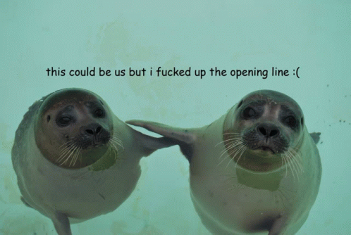 Desparate Seals GIF - Desparate Seals Us GIFs