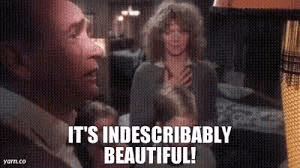 a man and a woman are standing next to each other and the man is saying `` it 's indescribably beautiful '' .