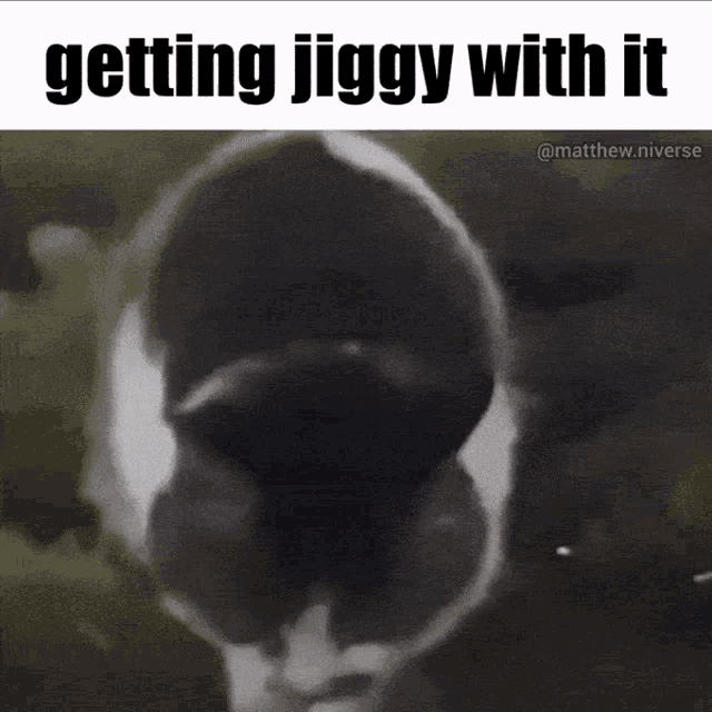 Jiggy Getting Jiggy With It GIF - Jiggy Getting Jiggy With It Cat GIFs