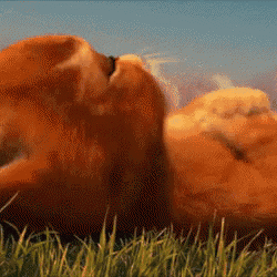 a lion is laying in the grass with its eyes closed