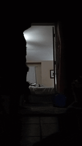 a bedroom with a bed and a door open