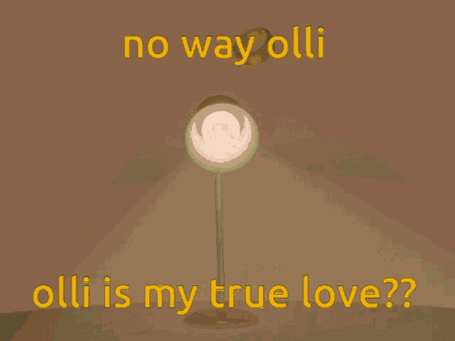 an open book with a ring and the words " no way olli olli is my true love " on it