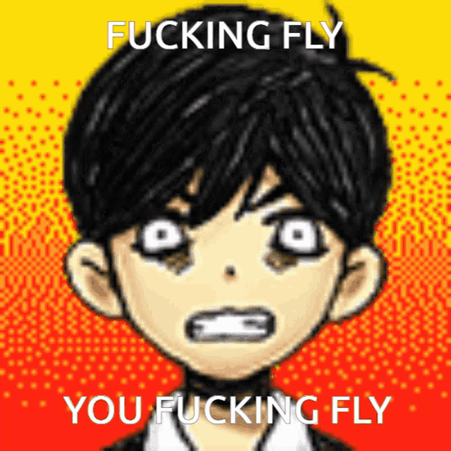 a pixelated image of a boy with the words " fucking fly you fucking fly "