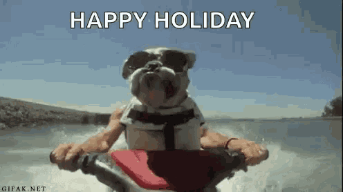 a dog is riding a jet ski on a lake .
