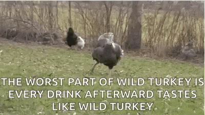 the worst part of wild turkey is every drink afterward tastes like wild turkey and chickens .