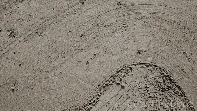 a drawing of a dog in a circle on a sandy beach