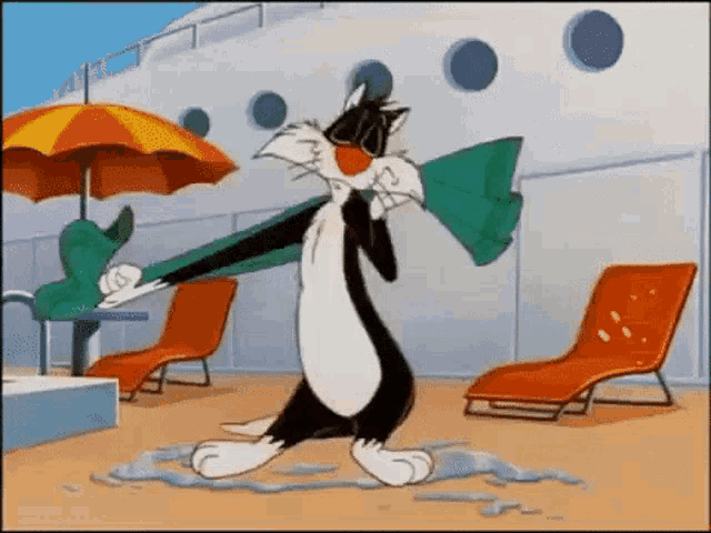 Sylvester The Cat Sylvester GIF - Sylvester The Cat Sylvester Towel GIFs