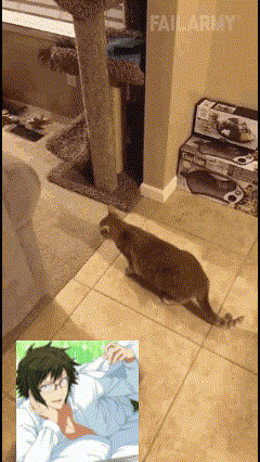 a picture of a cat and a picture of a man with failarmy written on the bottom