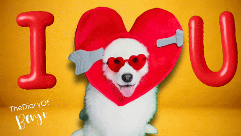 a white dog wearing red heart shaped glasses and a cupid arrow says " i love you "