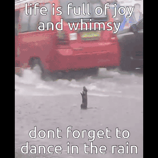 Joy And Whimsy Dancing In The Rain GIF - Joy And Whimsy Dancing In The Rain Rat GIFs