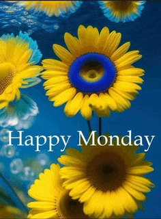 a picture of sunflowers with the words happy monday