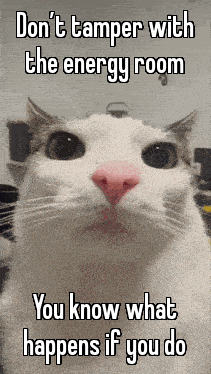 a picture of a cat with the words " do n't tamper with the energy room "