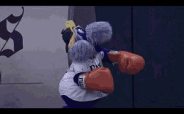 a stuffed animal is wearing boxing gloves and a jersey that says tdk