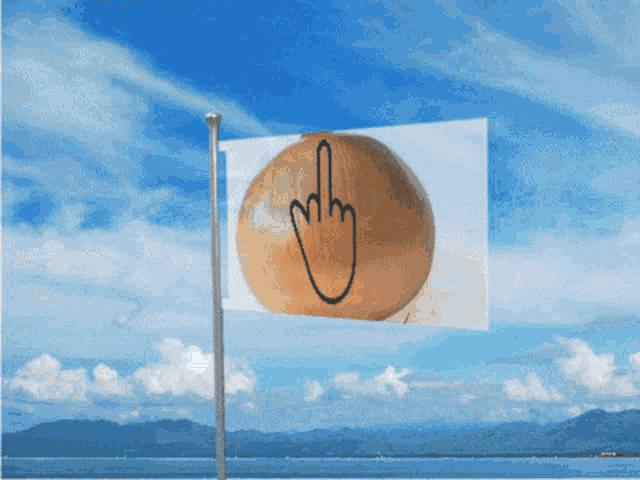 a flag with an onion and a hand giving the middle finger